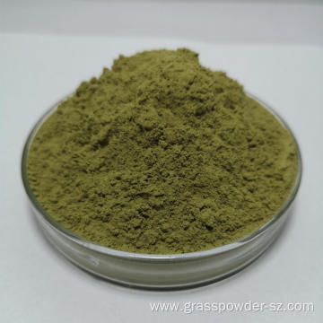 Organic Kale Powder Health Care Supplement